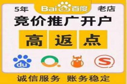 搜索引擎营销新纪元：SEM开户案例集锦